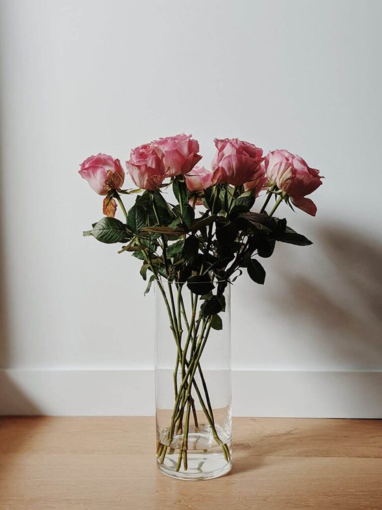 pink roses in clear glass vase