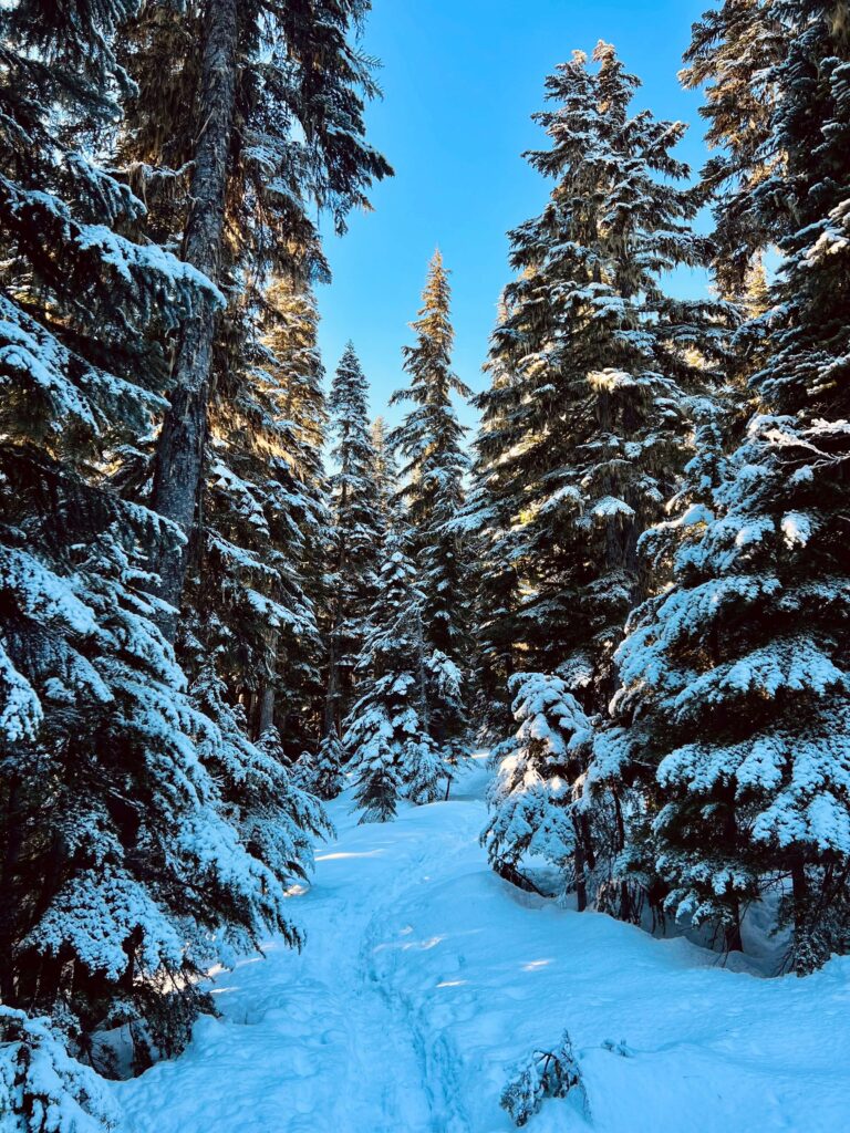 The Spiritual Meaning of Winter